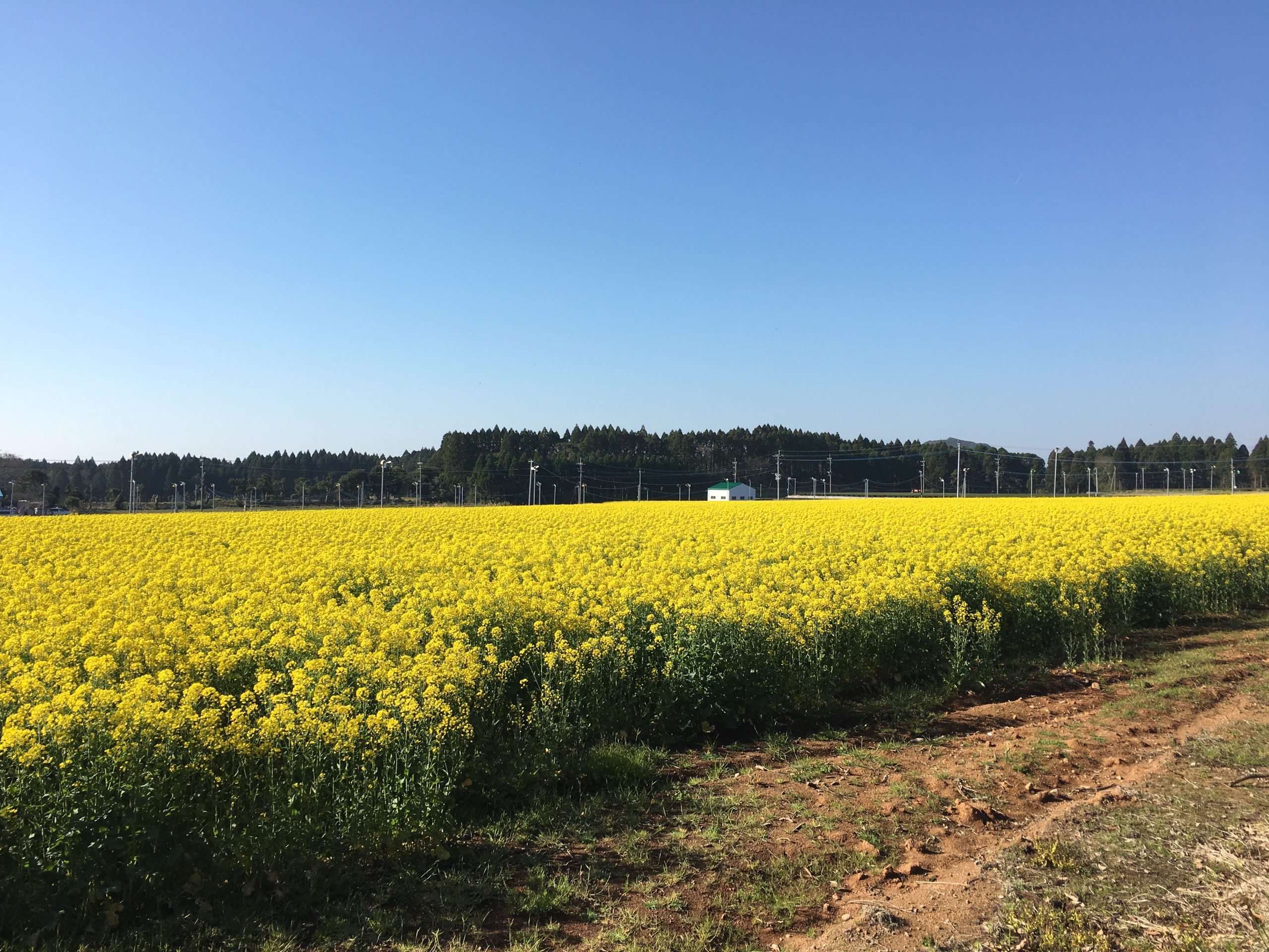 生産現場